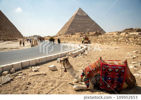 埃及吉薩金字塔中的駱駝景觀 109952653