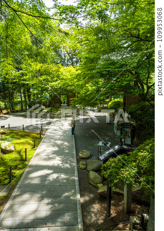 觀光地點:在新綠中閃閃發光的大光禪寺。天台宗特別總寺大光禪寺的院內(佐賀縣三燒郡木山町) 觀光地點:在新綠中閃閃發光的大光禪寺。天台宗特別總寺大光禪寺的院內(佐賀縣三燒郡木山町) 109953068