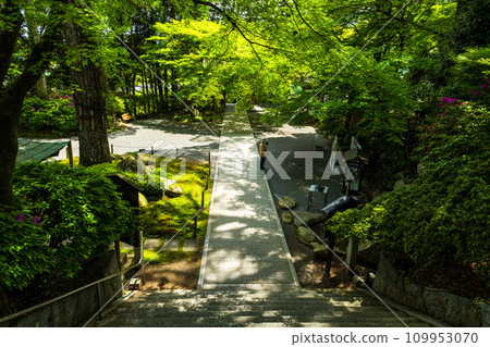Sightseeing spot: Daikozenji Temple, which shines in the fresh greenery.The precincts of Daikozenji Temple, the special head temple of the Tendai sect (Kiyama-cho, Miyaki-gun, Saga Prefecture) 109953070