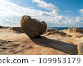 Wakayama Shirahama Senjojiki 109953179