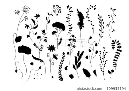 Hand drawn wild flowers silhouettes illustrations set isolated on white 109953194