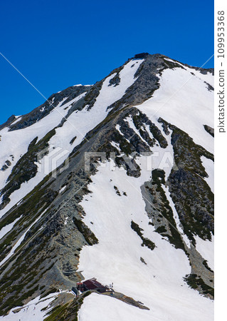 在余雪季節攀登北阿爾卑斯山的立山連峰 立山的主峰大山 109953368