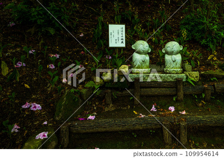 Hohoemi Jizo Daikozenji Chigirien, a forest plant where you can enjoy the four seasons of nature (Kiyama Town, Miyaki District, Saga Prefecture) Hohoemi Jizo Daikozenji Chigirien, a forest plant where you can enjoy the four seasons of nature (Kiyama Town, Miyaki District, Saga Prefecture) 109954614