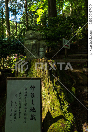 Good friend Jizo Daikozenji Chigien, a forest plant where you can enjoy the four seasons of nature (Kiyama Town, Miyaki District, Saga Prefecture) Good friend Jizo Daikozenji Chigien, a forest plant where you can enjoy the four seasons of nature (Kiyama Town, Miyaki District, Saga Prefecture) 109954709