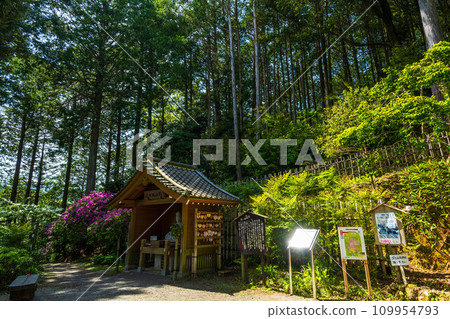 可欣賞四季自然的大光善寺漆器園展望台(佐賀縣三燒郡木山町) 可欣賞四季自然的大光善寺漆器園展望台(佐賀縣三燒郡木山町) 109954793