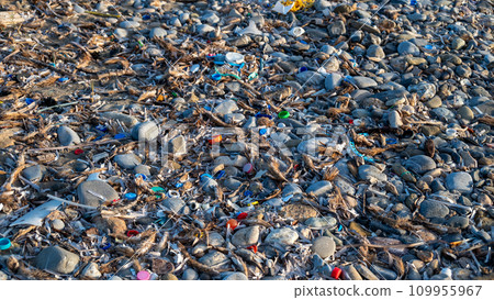 The surface of the earth is covered with stones, dry branches and a huge amount of microplastic. 109955967
