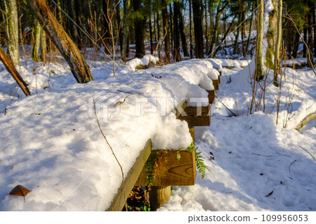 A view of a snowy forest and a wooden path for a relaxing walk. Snow covers the path with a thick layer of snow 109956053