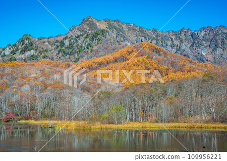 Nagano Prefecture, Togakushi Plateau in autumn, Kagami Pond and yellow leaves of Mt. Togakushi in all directions Nagano Prefecture, Togakushi Plateau in autumn, Kagami Pond and yellow leaves of Mt. Togakushi in all directions 109956221