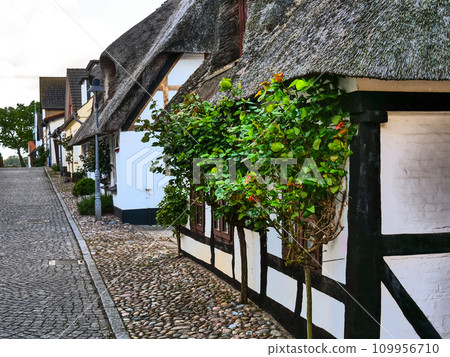 Maasholm village at the schlei river in germany 109956710
