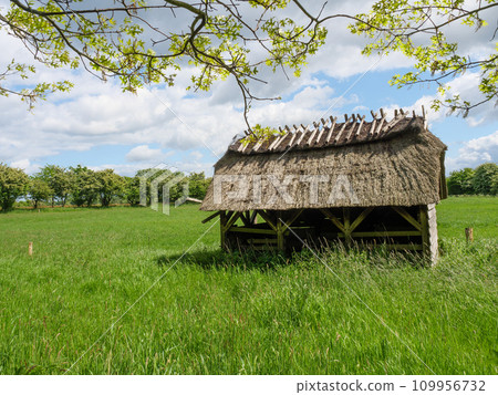 Maasholm village at the schlei river in germany 109956732