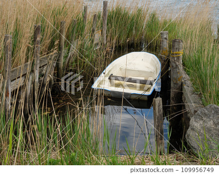 Maasholm village at the schlei river in germany 109956749