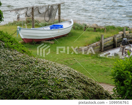 Maasholm village at the schlei river in germany 109956761