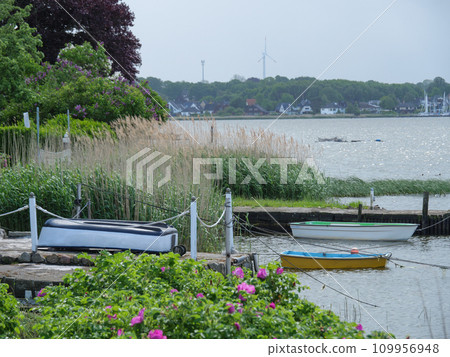 the city of Schleswig at the river schlei in germany the city of Schleswig at the river schlei in germany 109956948