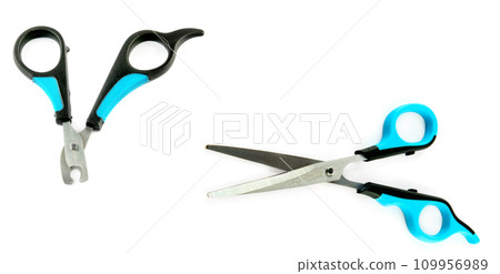 Scissors and dog nail clipper isolated on a white. Collage. Free space for text. Wide photo. 109956989