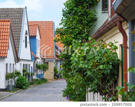 the city of Schleswig at the river schlei in germany the city of Schleswig at the river schlei in germany 109957008