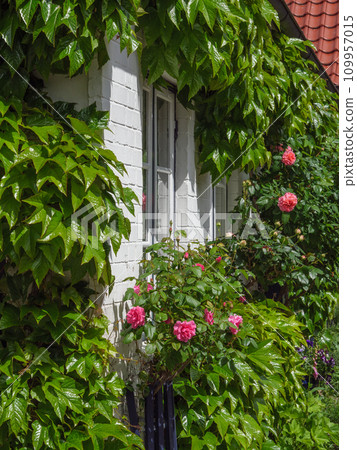 the city of Schleswig at the river schlei in germany 109957015