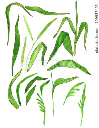 Hand drawn grass stems set Hand drawn grass stems set 109957403