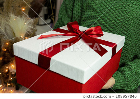 Gift, present in womans hands. Christmas, New Year, Birthday, Valentines day concept Gift, present in womans hands. Christmas, New Year, Birthday, Valentines day concept 109957846