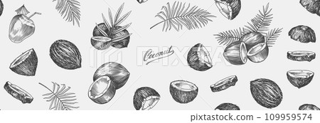 Coconut sketch. Tropical food and palm leaf. Retro ink style. Hand drawn vector illustration for Coconut sketch. Tropical food and palm leaf. Retro ink style. Hand drawn vector illustration for 109959574