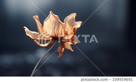 AI-generated content. A close up of a flower that is dying on the stem, AI 109959691