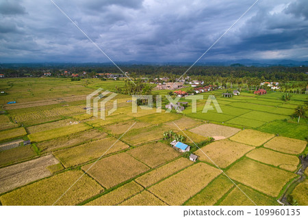 Aerial view of rice plantations and a hill village from a drone. Rice terraces on the island of Bali Aerial view of rice plantations and a hill village from a drone. Rice terraces on the island of Bali 109960135