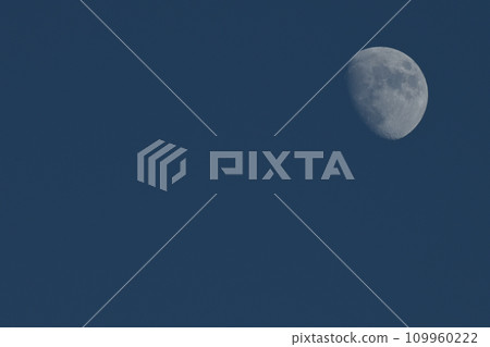 A 9.7-year-old moon rising in the blue evening sky A 9.7-year-old moon rising in the blue evening sky 109960222