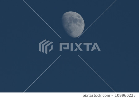 A 9.7-year-old moon rising in the blue evening sky A 9.7-year-old moon rising in the blue evening sky 109960223