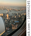 Tokyo seen from an airplane 109960245