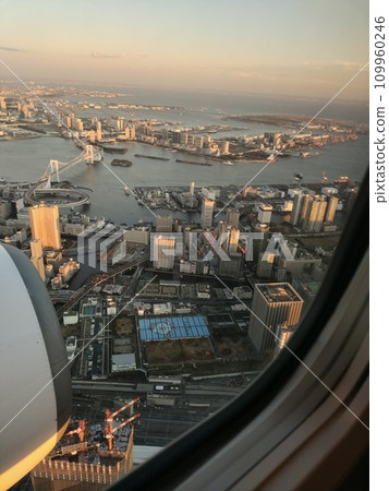 Tokyo seen from an airplane 109960246