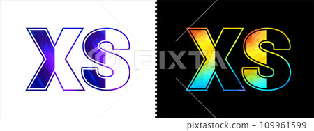 Unique XS letter logo Icon vector template. Premium stylish alphabet logo design for corporate business Unique XS letter logo Icon vector template. Premium stylish alphabet logo design for corporate business 109961599