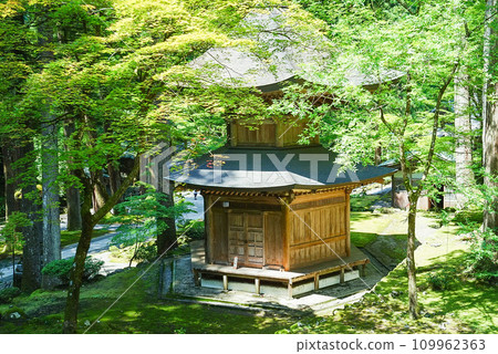 Eiheiji 109962363