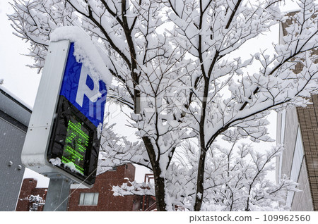 Beautiful, city snow scenes photographed in Niigata City on December 22, 2023. Beautiful, city snow scenes photographed in Niigata City on December 22, 2023. 109962560