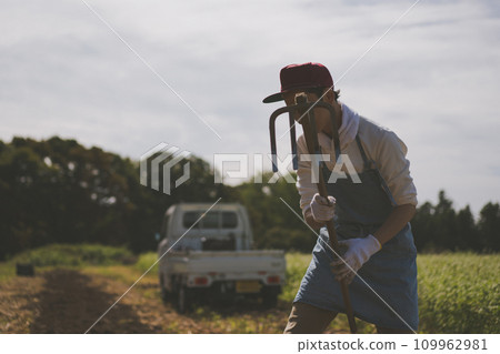 field, gents, male 109962981