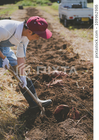 原野 田地 領域 109962986