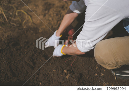 原野 田地 領域 109962994