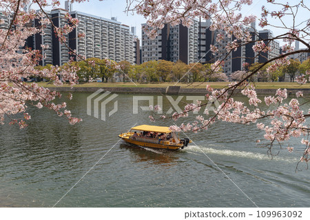櫻花盛開的太田川上的觀光船 109963092