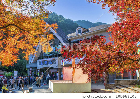Autumn leaves at Mt. Takao Cable Car Station Kiyotaki Station 109963103