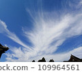 Dragon clouds 109964561