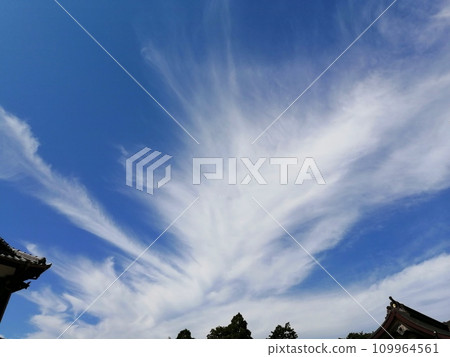 Dragon clouds 109964561