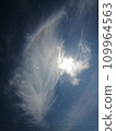 Rainbow dragon 109964563