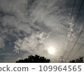 dragons in the morning 109964565