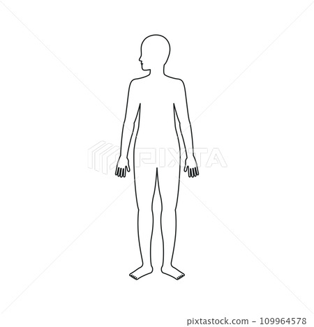 Human body (human body parts series) 109964578