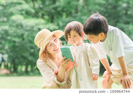 Parents and children looking at smartphones in the park / Family / Mom and child 109964744