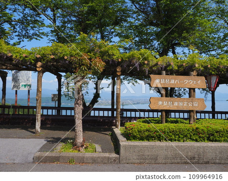 奧琵琶湖公園大道/奧琵琶湖國定公園(滋賀縣長濱市) 奧琵琶湖公園大道/奧琵琶湖國定公園(滋賀縣長濱市) 109964916