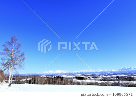 Blue sky and winter Hokkaido scenery Blue sky and winter Hokkaido scenery 109965571
