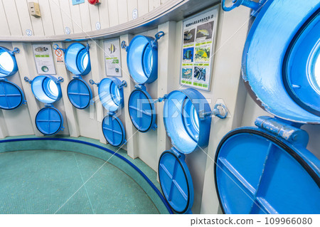 Busena Marine Park, Underwater Observation Tower, Nago City, Okinawa Prefecture 109966080