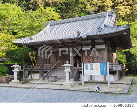 The subtle temple of Onjoji Temple (Miidera) (Otsu City, Shiga Prefecture) 109966328