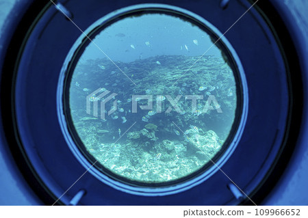 Busena Marine Park - Coral reef and shoal of Oyabitcha seen from the underwater observation tower, Nago City, Okinawa Prefecture Busena Marine Park - Coral reef and shoal of Oyabitcha seen from the underwater observation tower, Nago City, Okinawa Prefecture 109966652