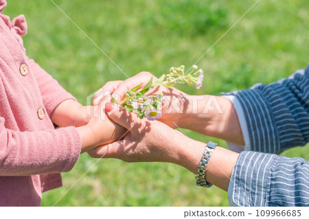 Child giving flowers to grandma (infant, smile) Child giving flowers to grandma (infant, smile) 109966685