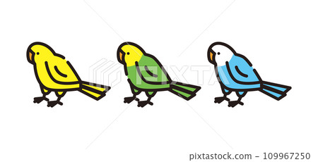 parakeet small bird pet animal bird illustration 109967250